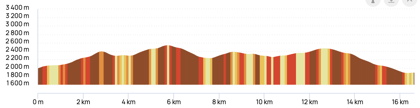 TOUR DES LACS DE CHAMONIX — profil altimétrique