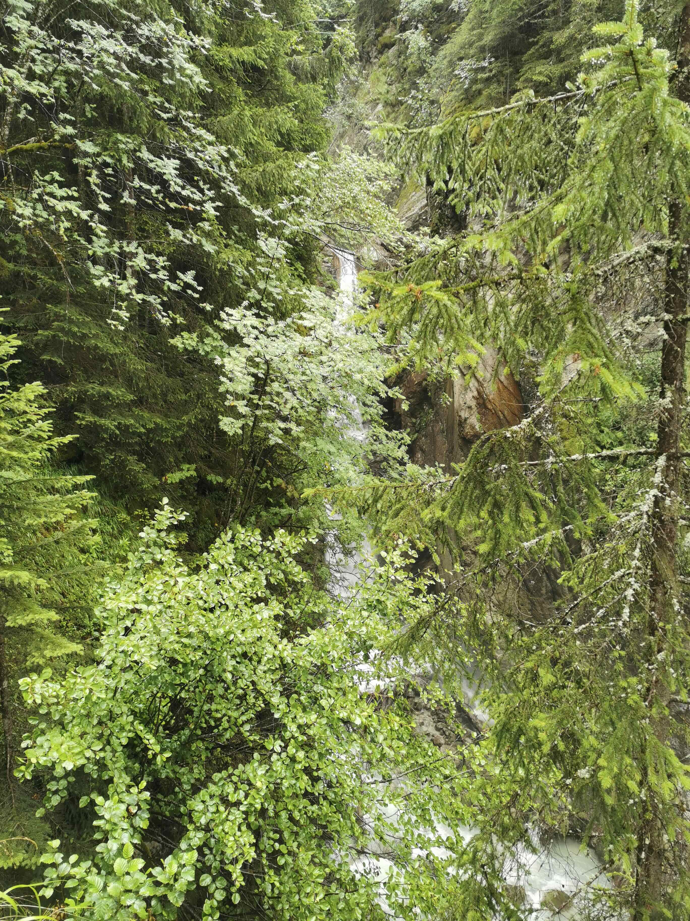 GARE DES GLACIERS ET CASCADE DE DARDS