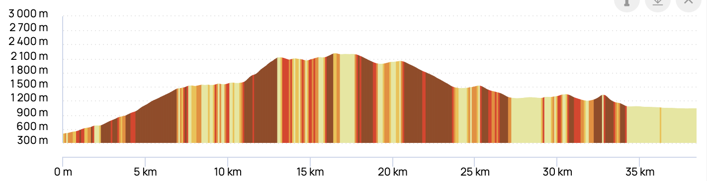 MARTIGNY-COMBE À CHAMONIX — profil altimétrique