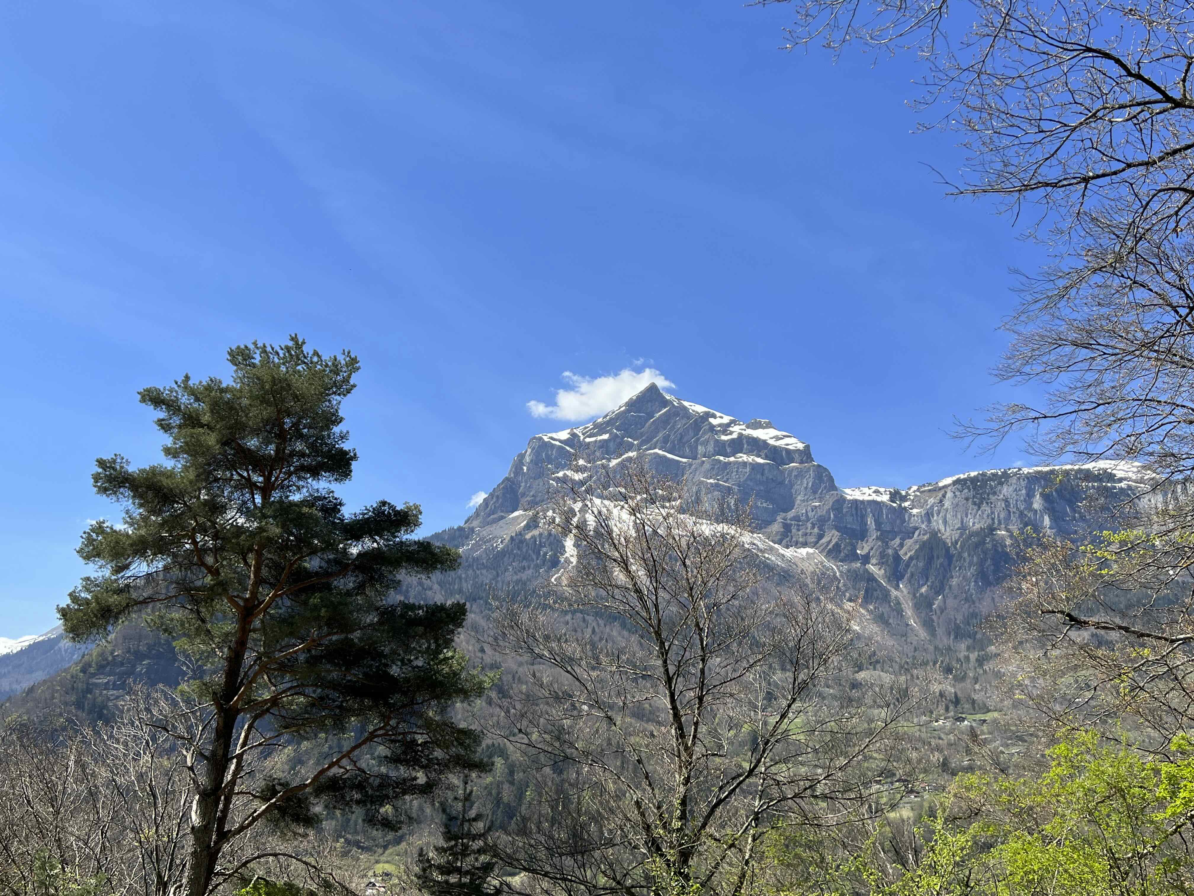 Tête du Planay — photo 2