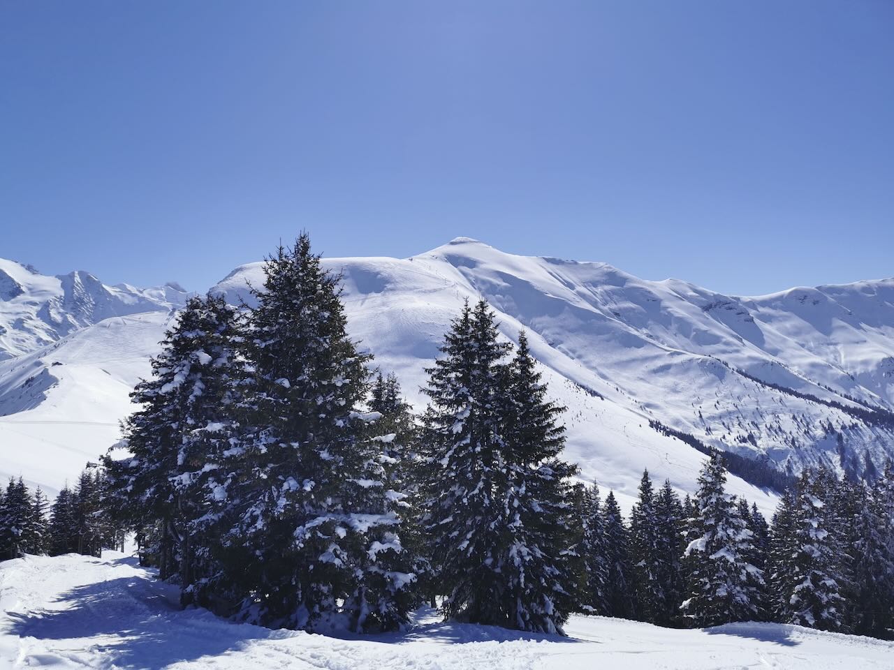 MONT D'ARBOIS