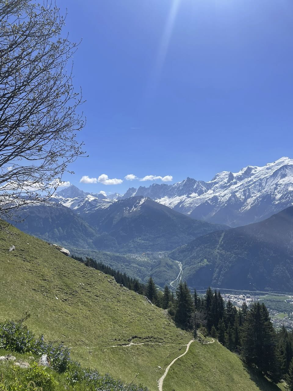 MONT D'ARBOIS — photo 2