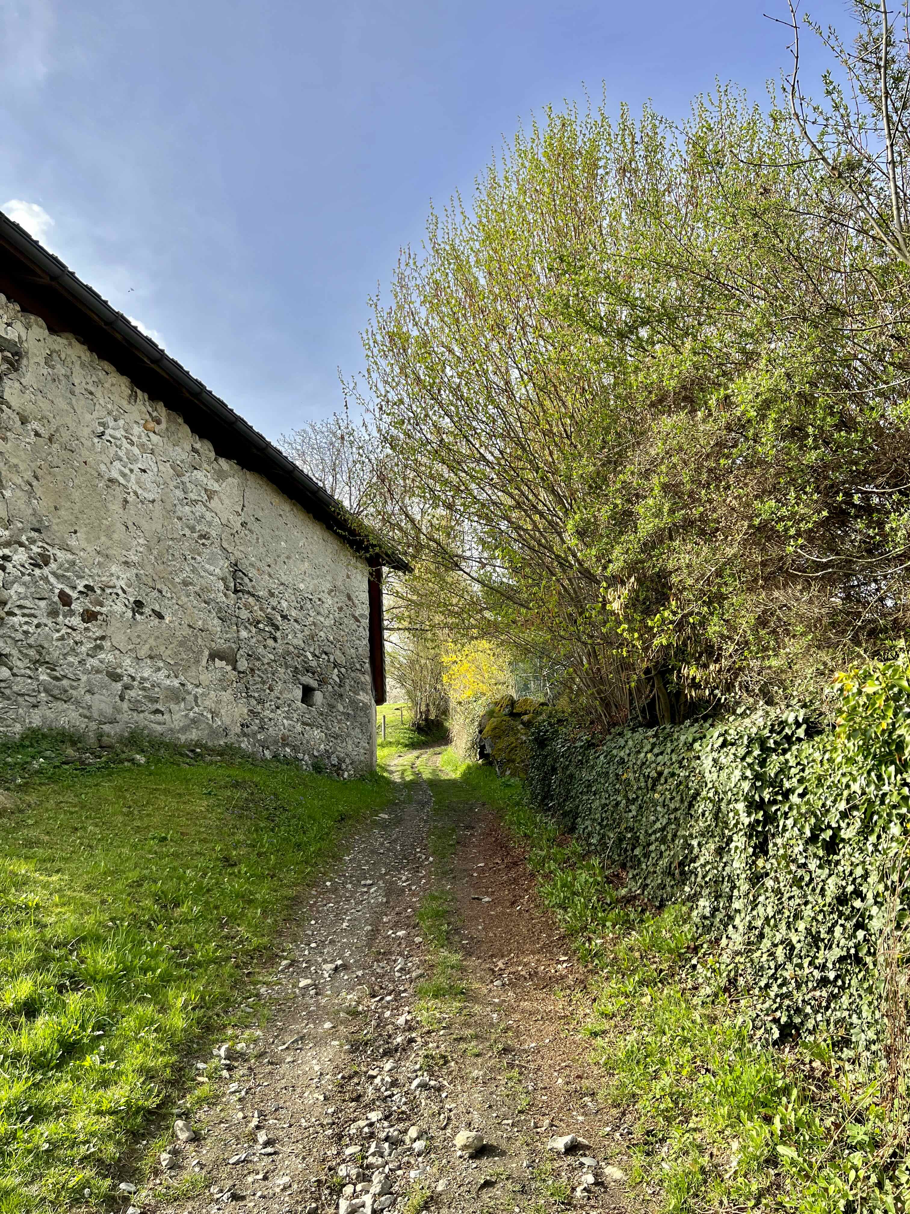 RONDE DE DOMANCY - LAC DE PASSY