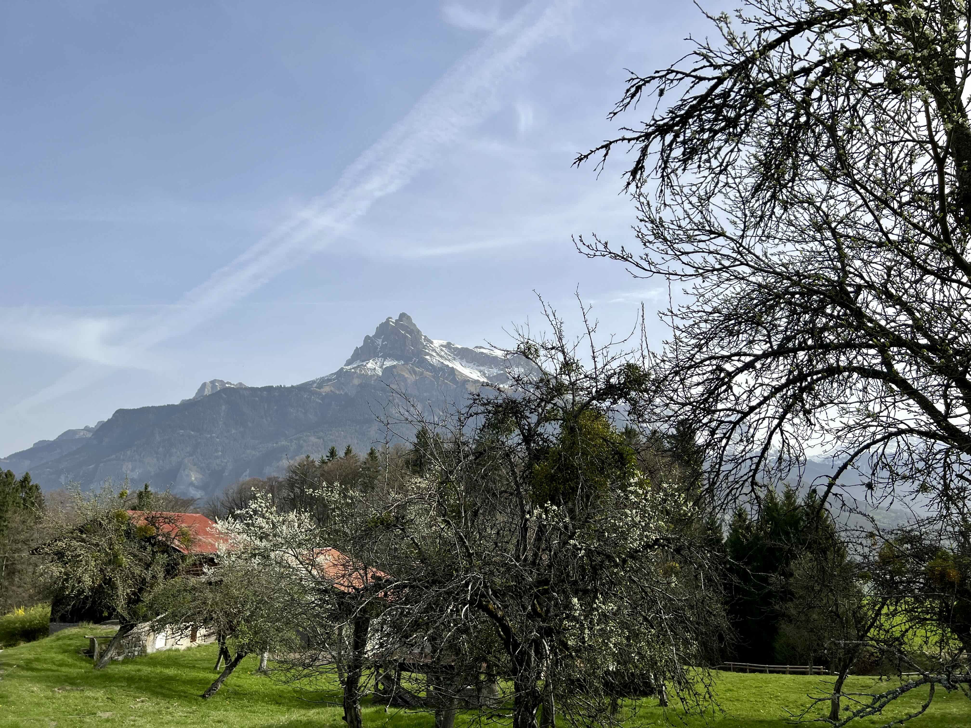 LA PLAINE DE DOMANCY ET LA VIAZ - BOUCLE 1 — photo 2
