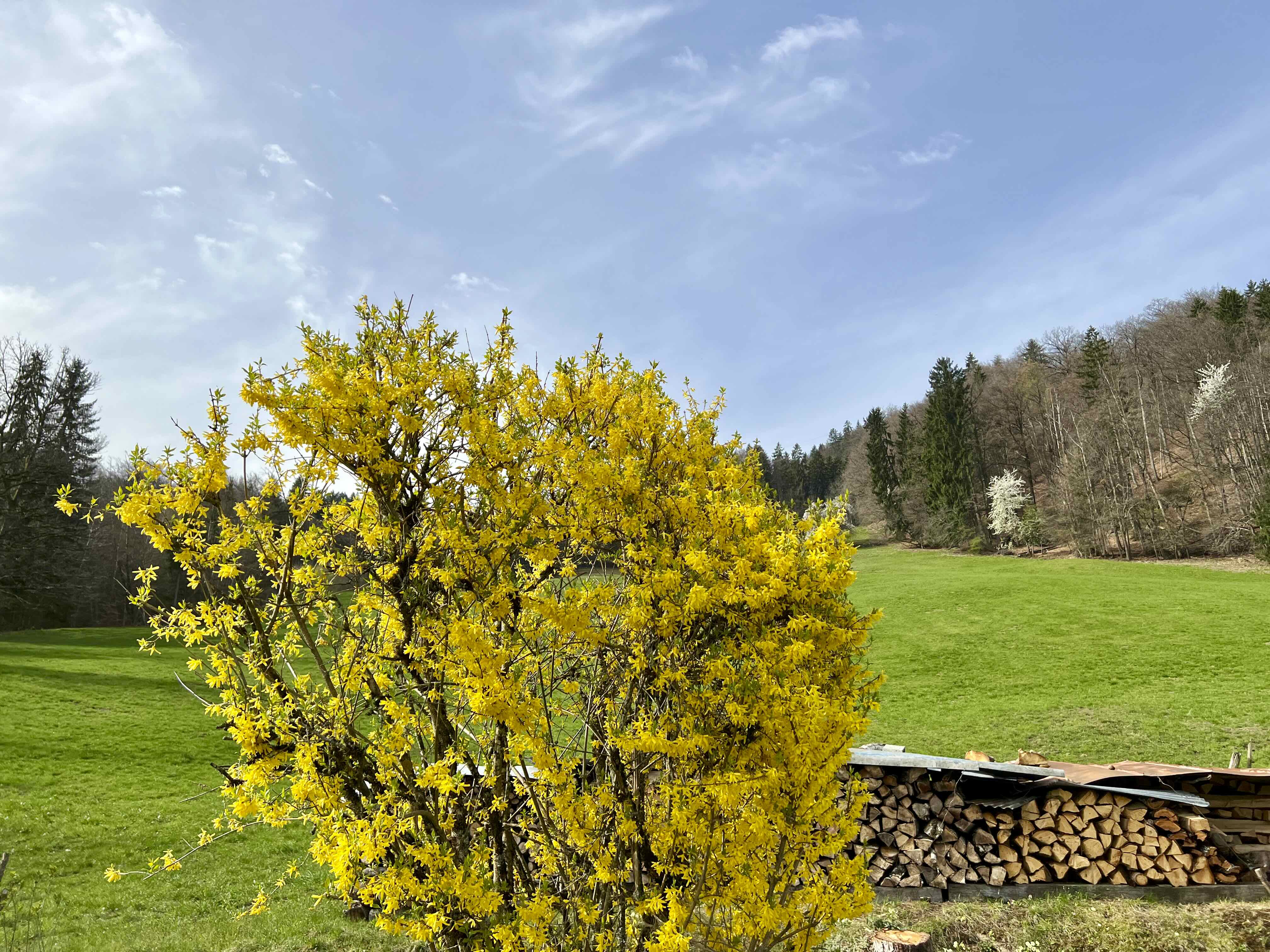 LA PLAINE DE DOMANCY, LA VIAZ ET LE LAC DE PASSY