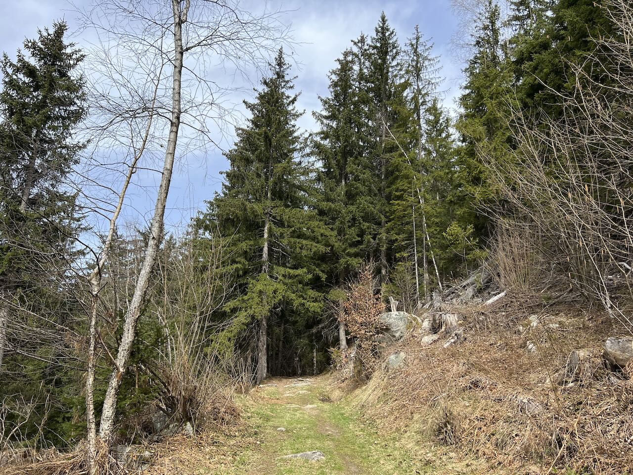SAINT GERVAIS PAR LE PARC THERMAL — photo 2