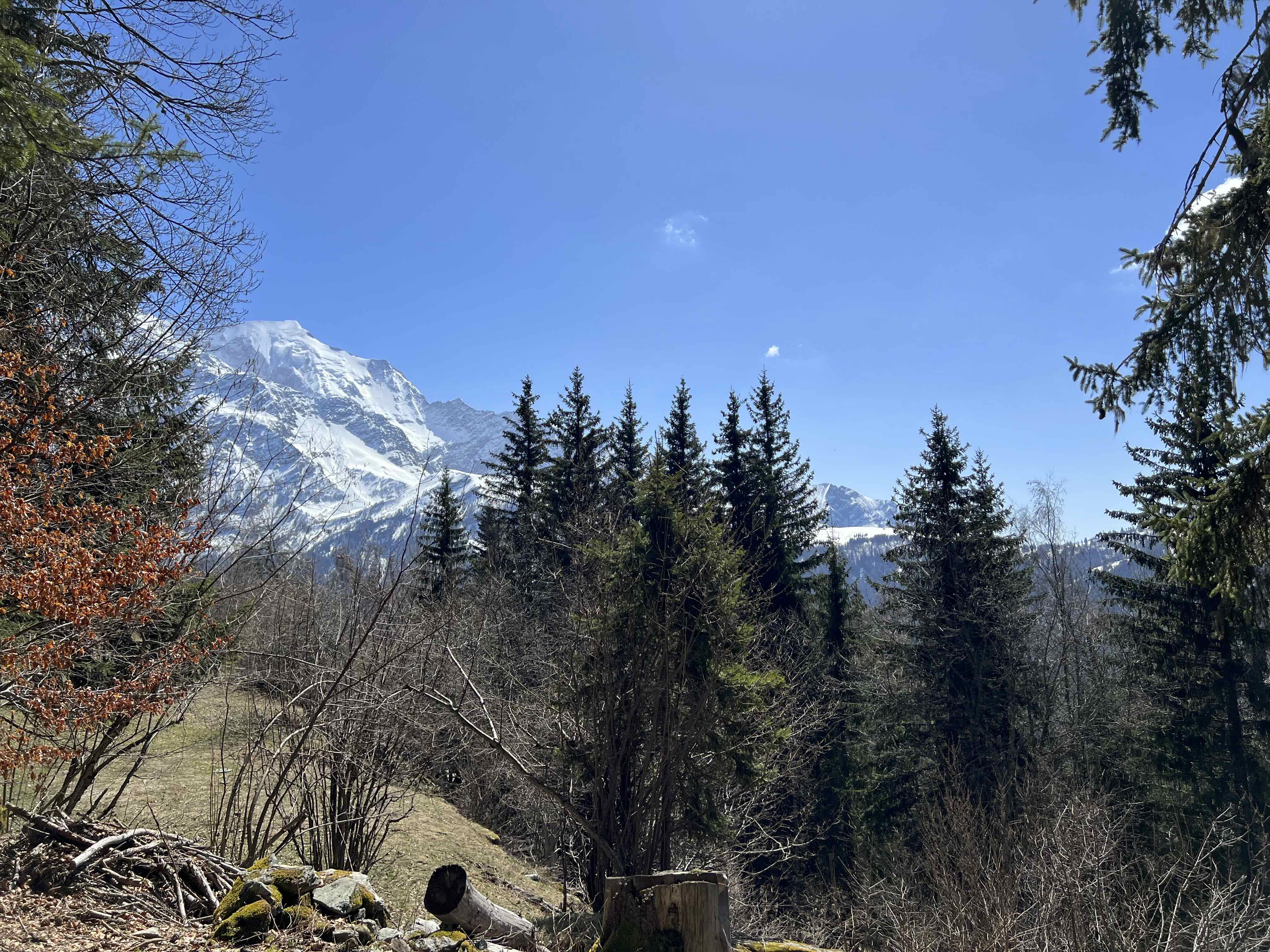 SAMOTEUX DEPUIS LES HOUCHES