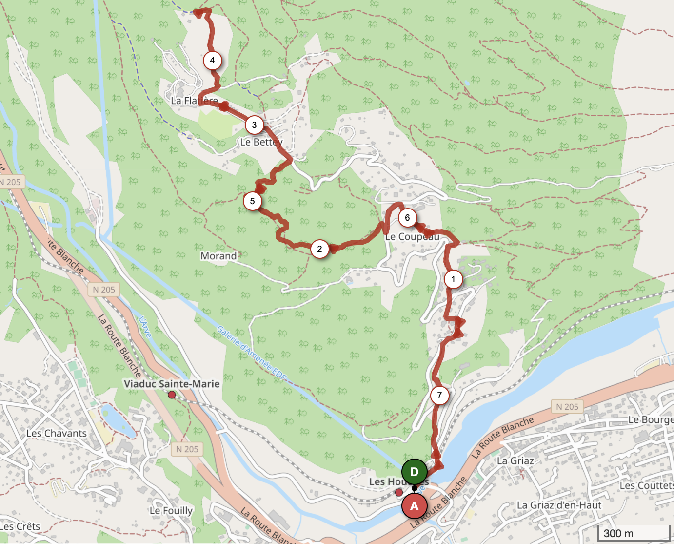 SAMOTEUX DEPUIS LES HOUCHES — carte