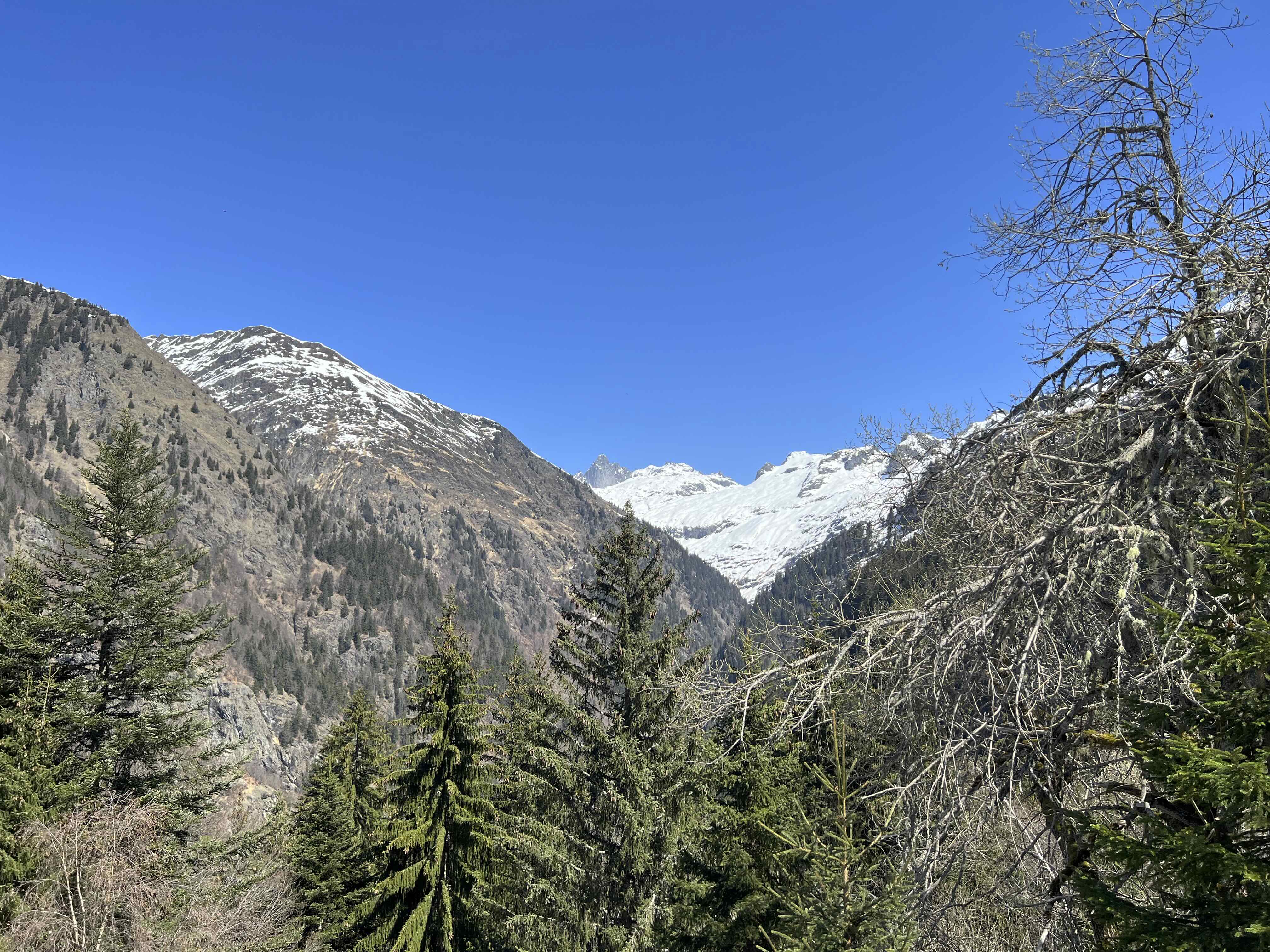 CHALET DU FER DEPUIS LE BETTEY