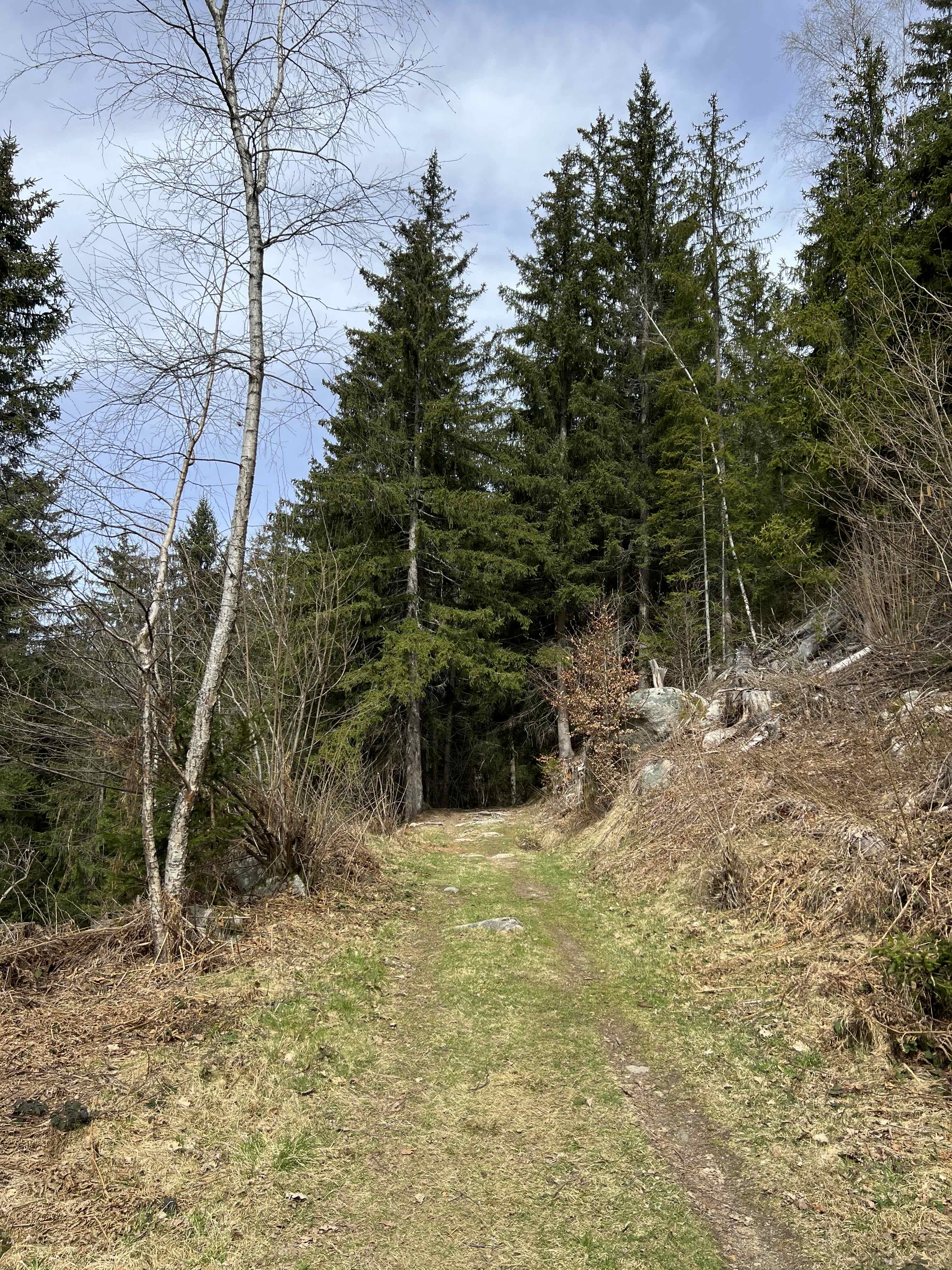 LE BETTEY — photo 2