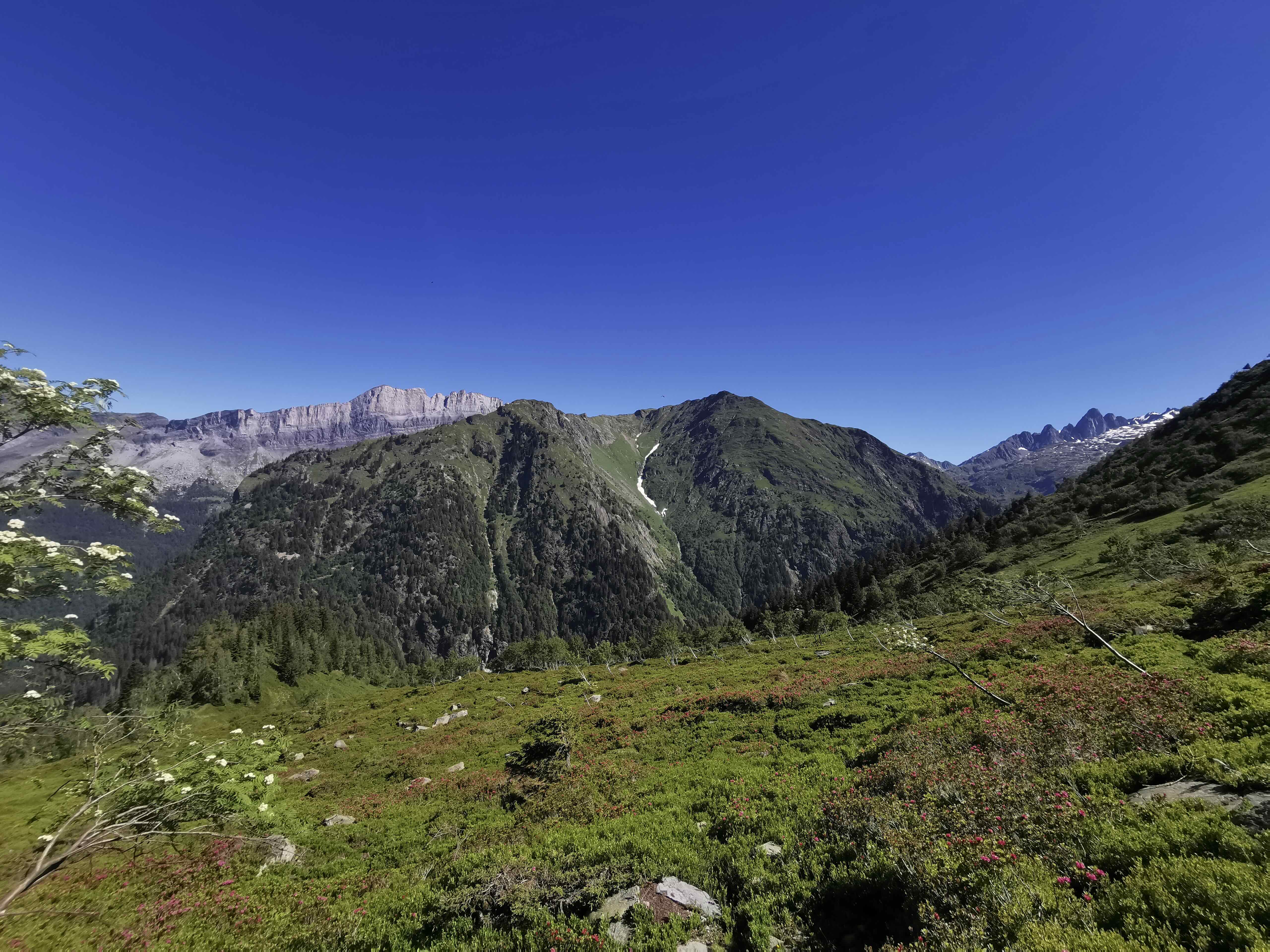 PIERRE BLANCHE DEPUIS LE BETTEY
