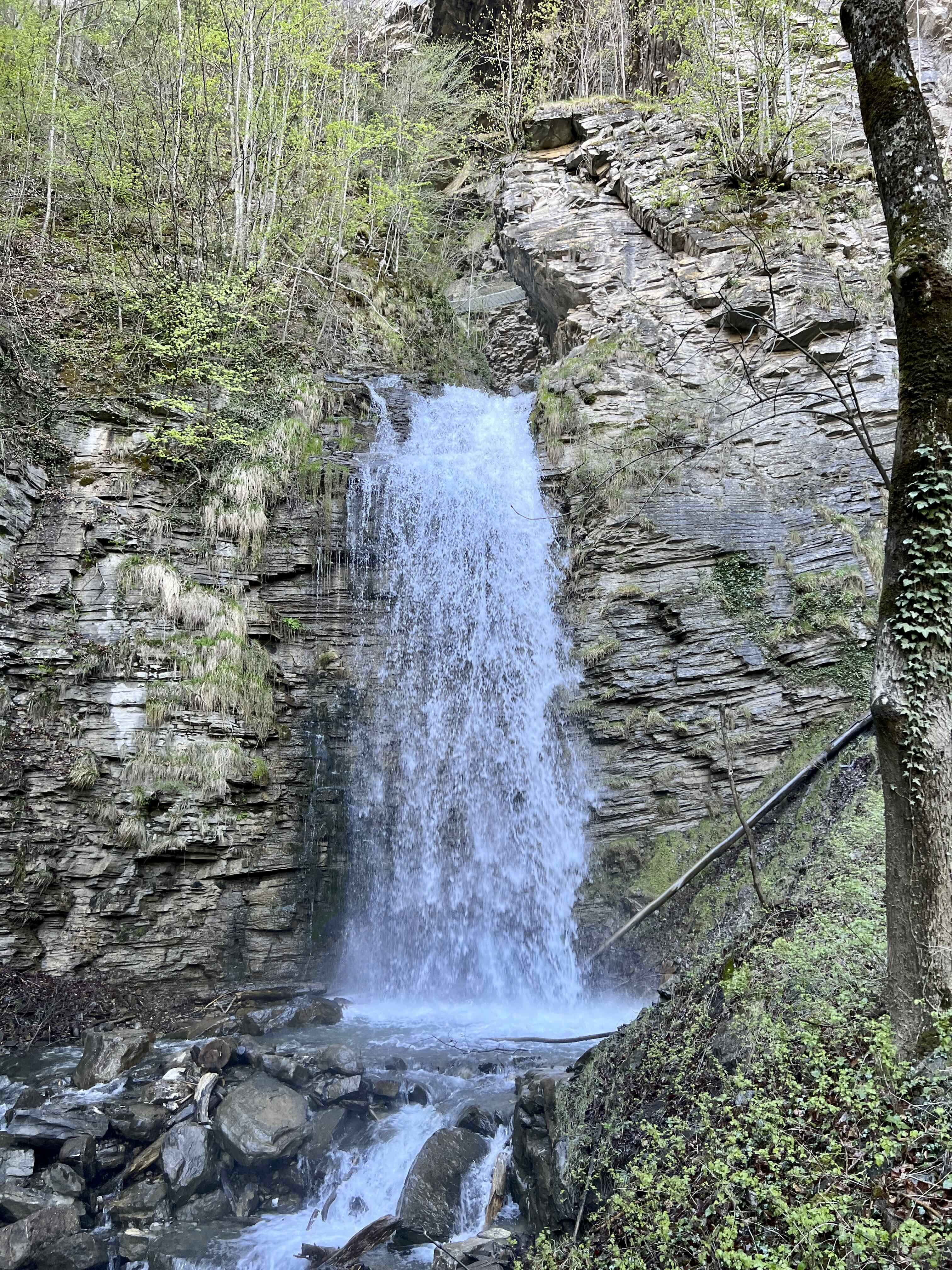 TORRENT DE L’ÉPINE