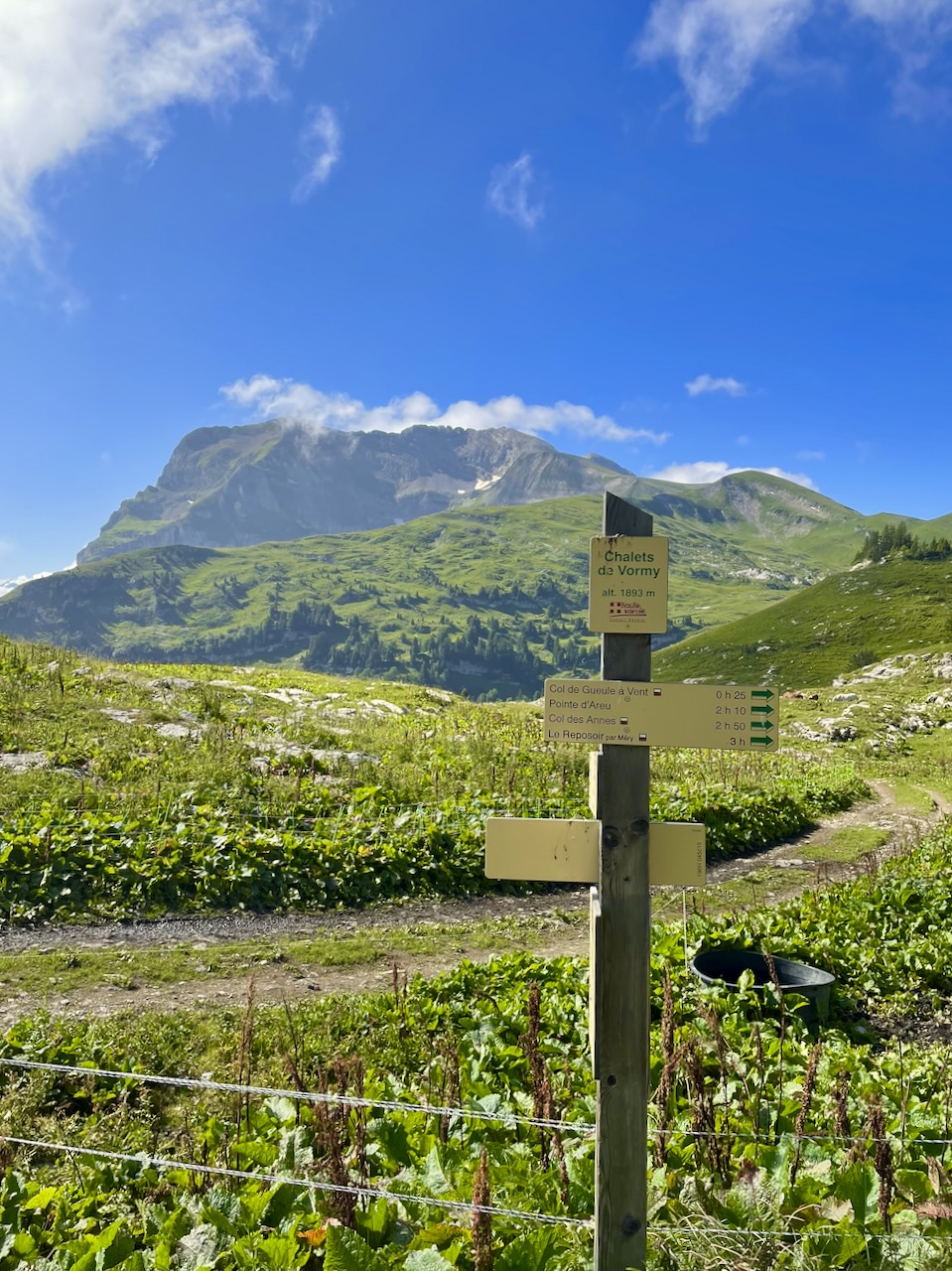 PASSAGE DU SAIX ET CHALETS DE VORMY — photo 2