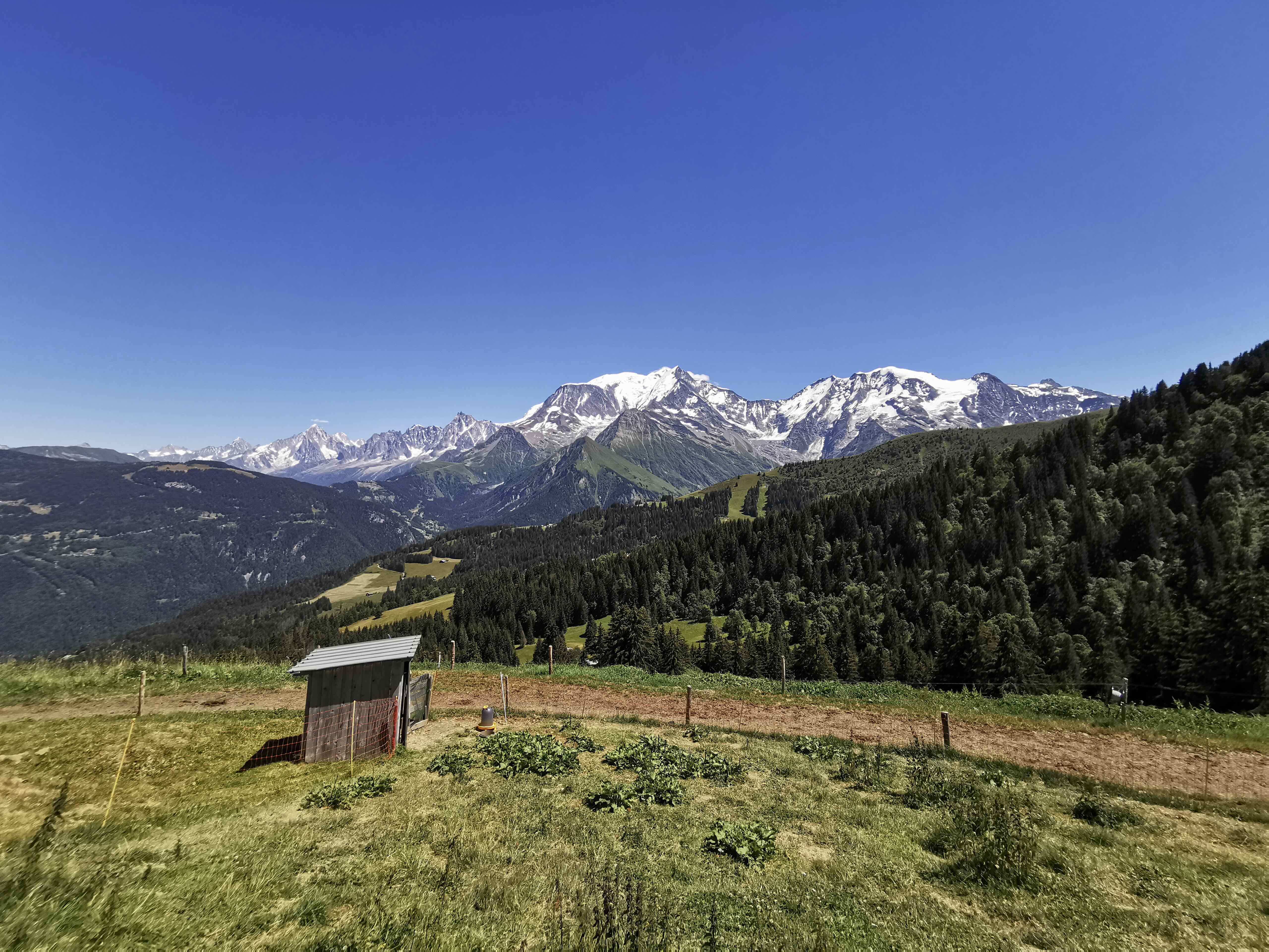 MONT D'ARBOIS