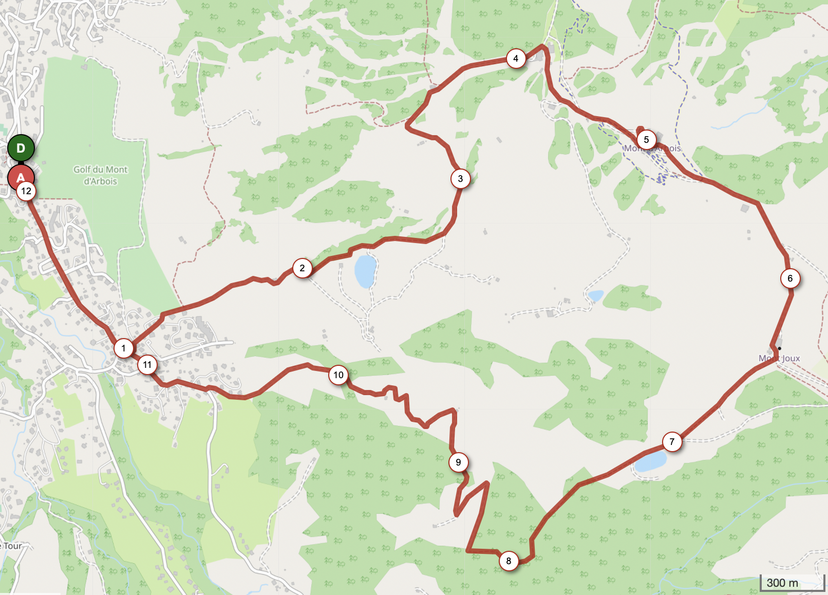 MONT JOUX — carte