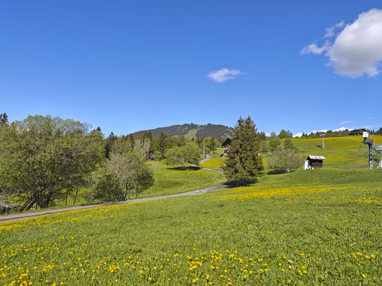ROCHEBRUNE