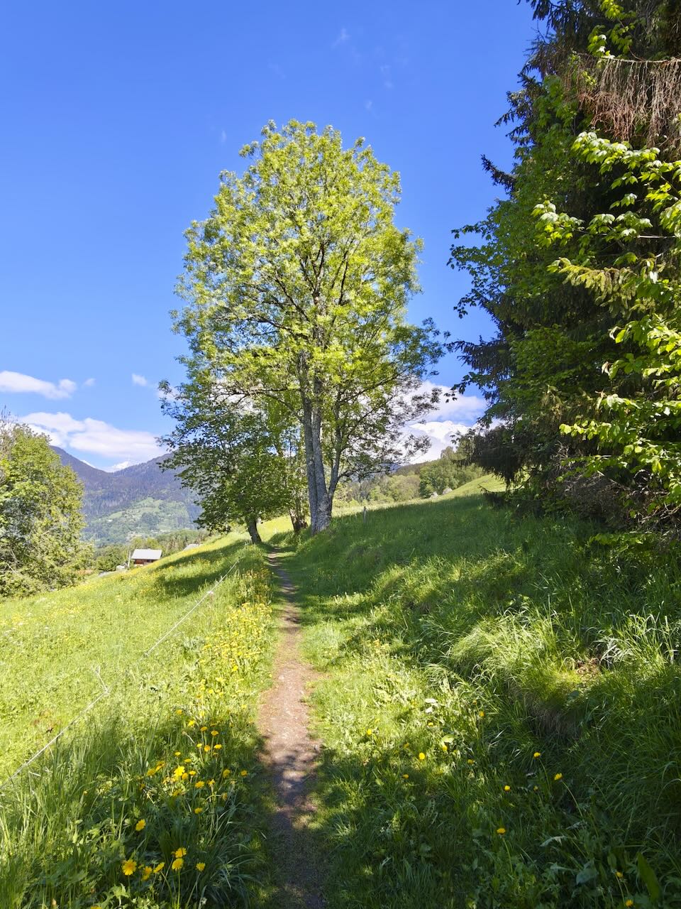 DE MEGÈVE À SAINT GERVAIS LES BAINS — photo 2