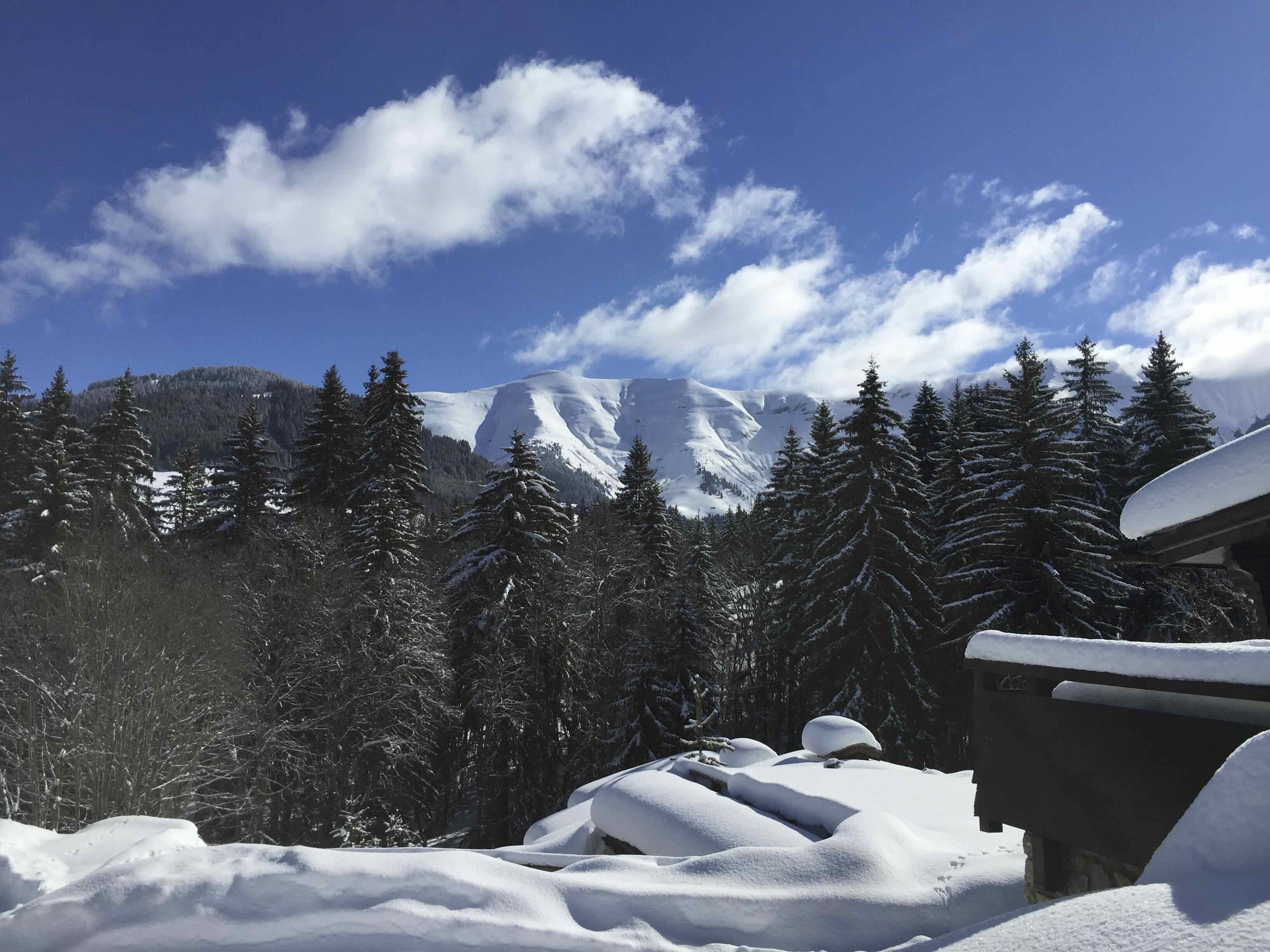 CHALETS DES AYÈRES ET LE LAC VERT — photo 2