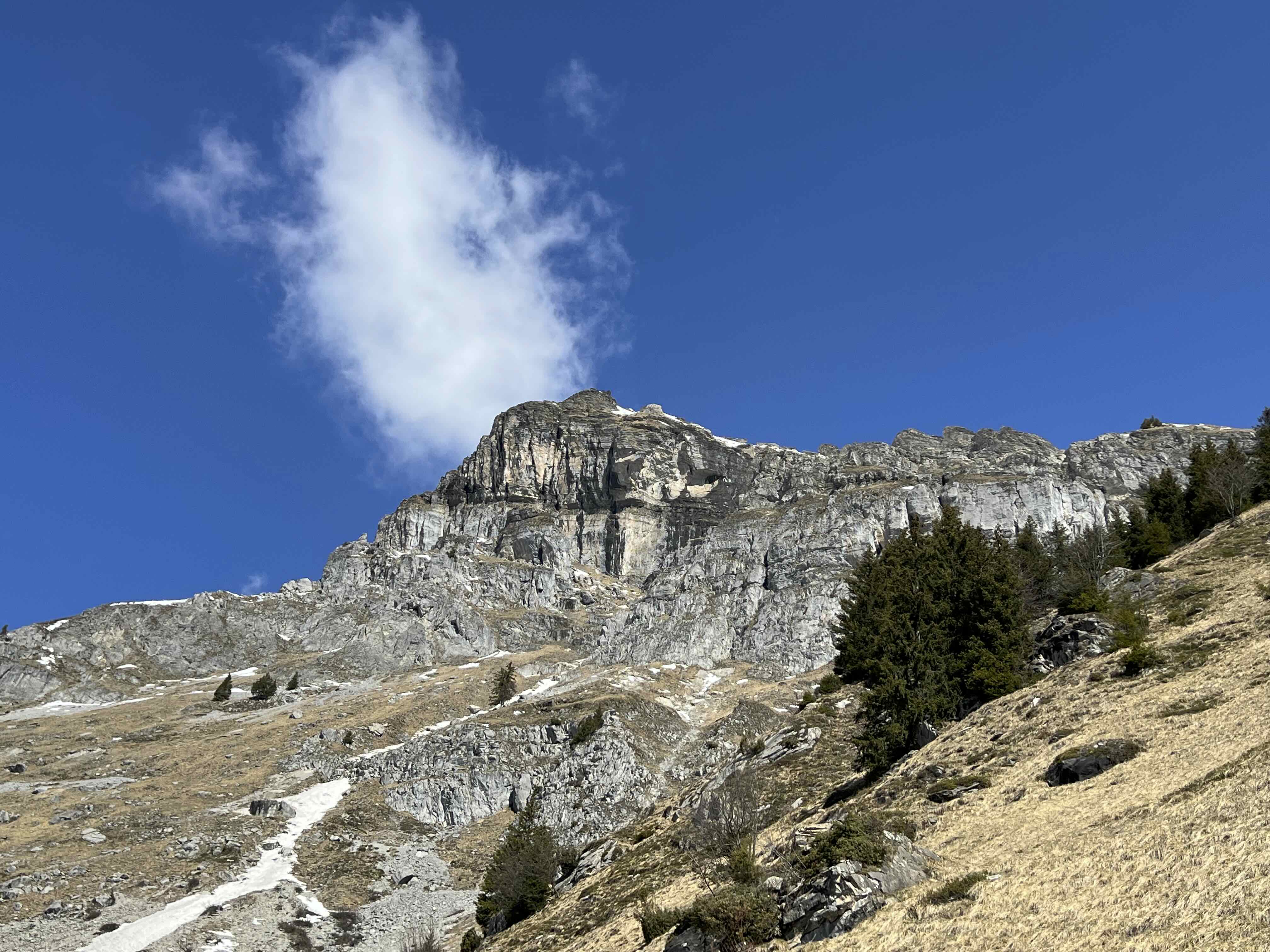 CHARBONNIÈRE ET FRIOLAND DEPUIS PLAINE JOUX