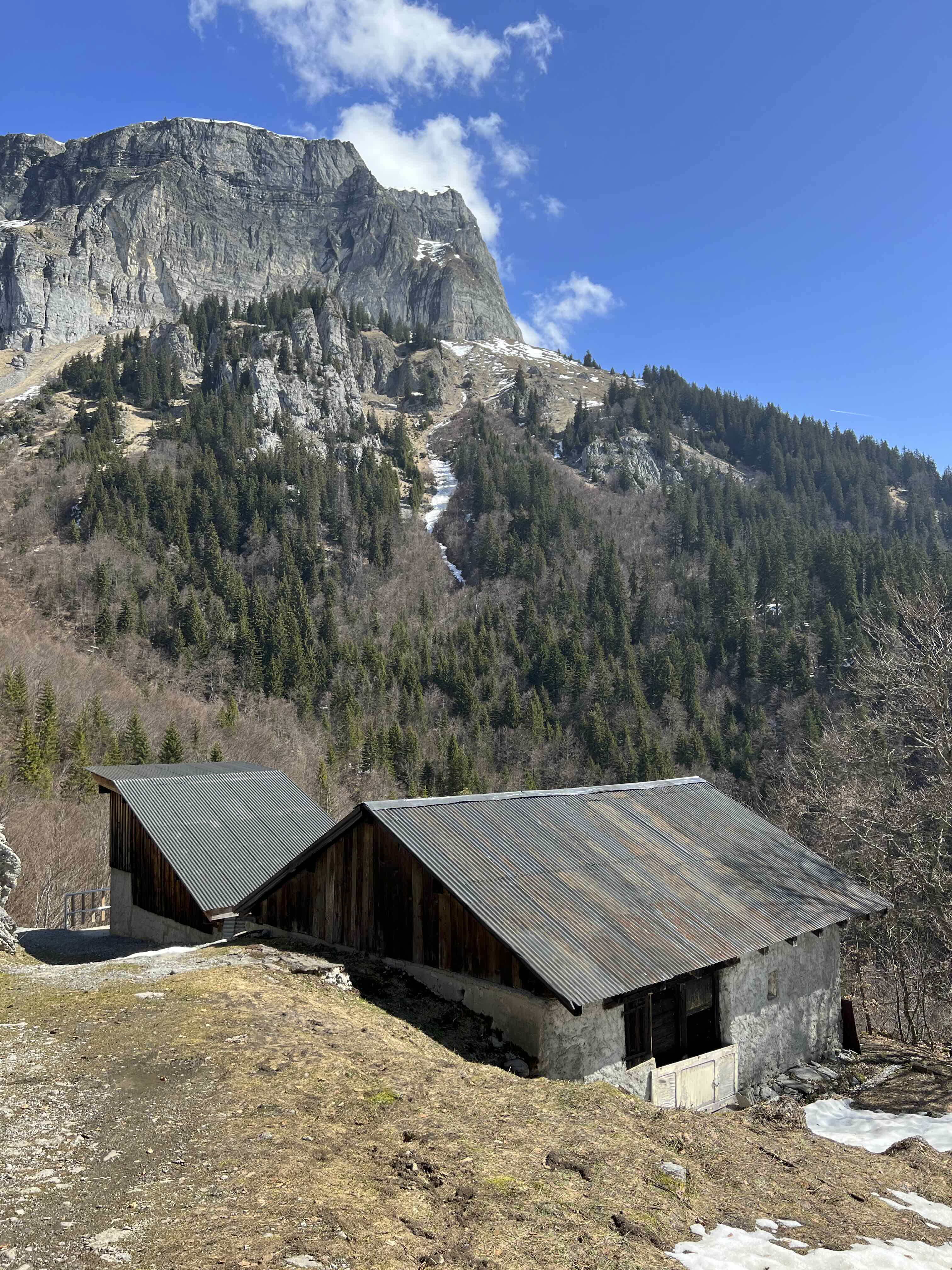CHARBONNIÈRE ET FRIOLAND DEPUIS PLAINE JOUX — photo 2