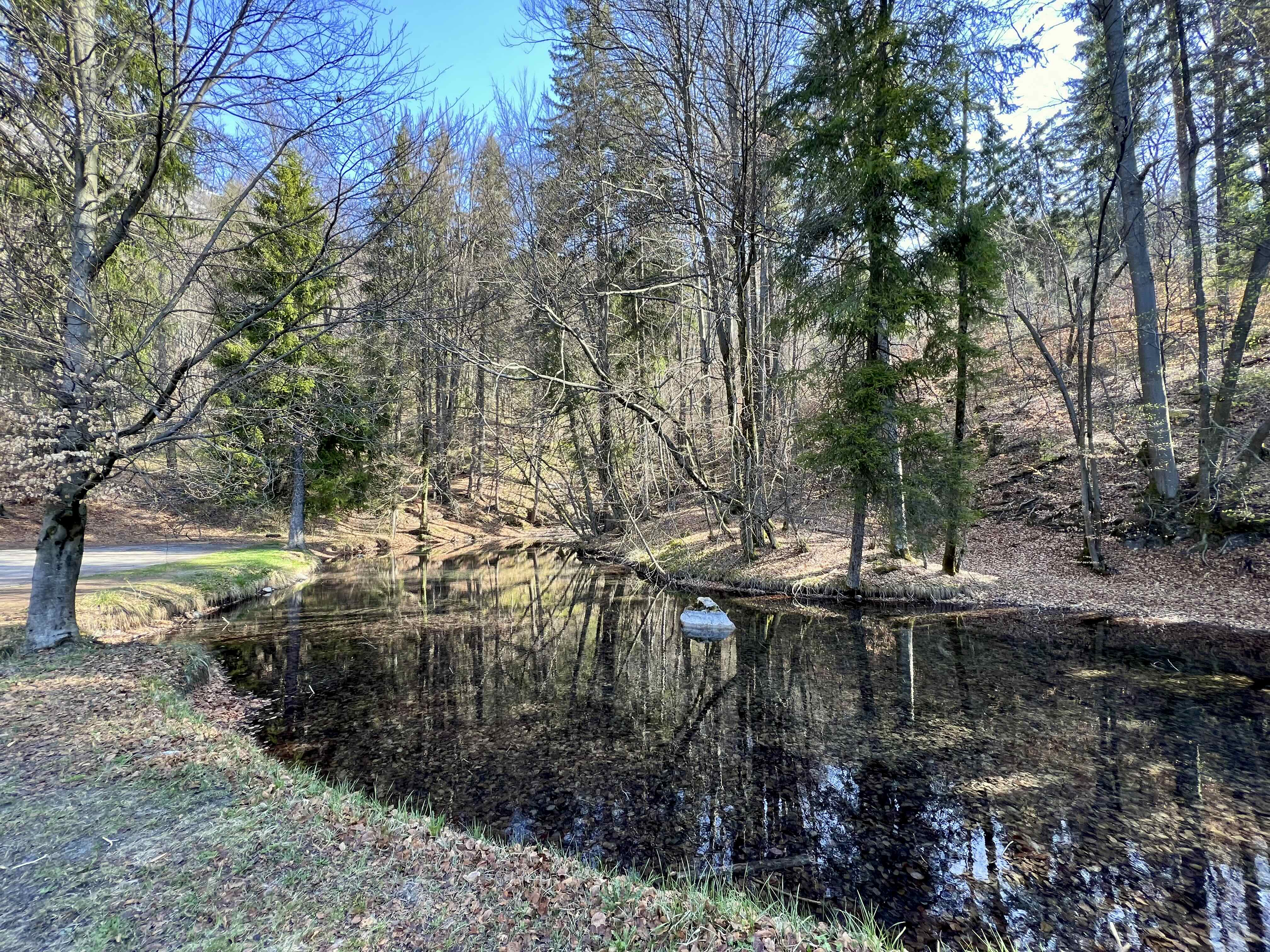 LAC DES FINS SOUDANS DEPUIS CHEDDE