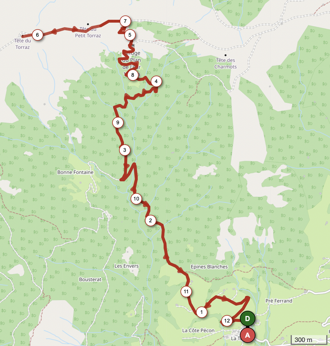 TÊTE DE LA TORAZ ET REFUGE DU PLAN DE L’AAR — carte