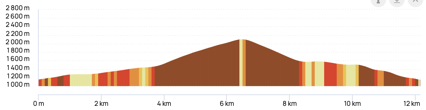 COL DU TRICOT ET MIAGE DEPUIS CHAMPEL — profil altimétrique