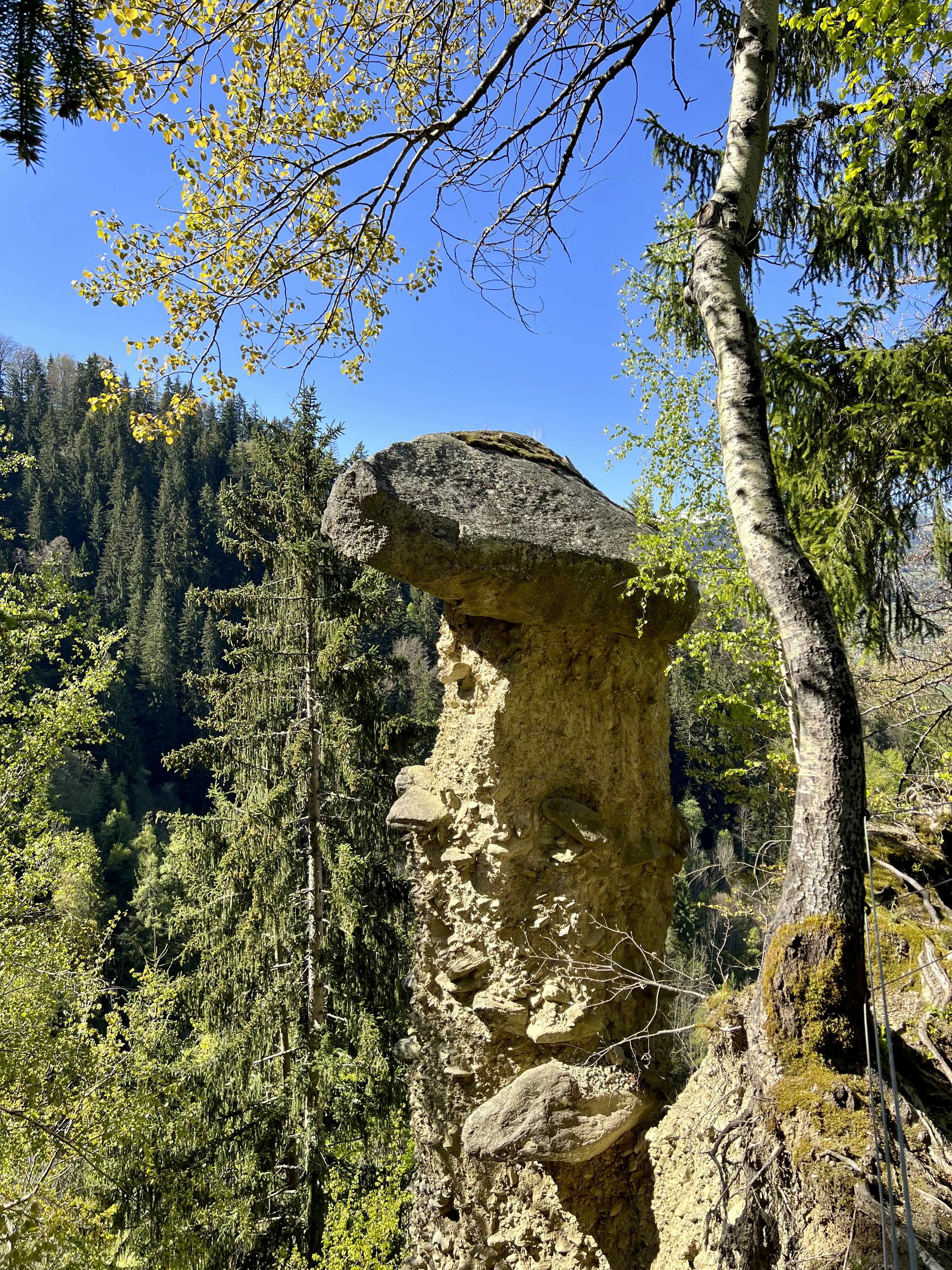 MONTFORT ET CHEMINÉES DES FÉES — photo 2