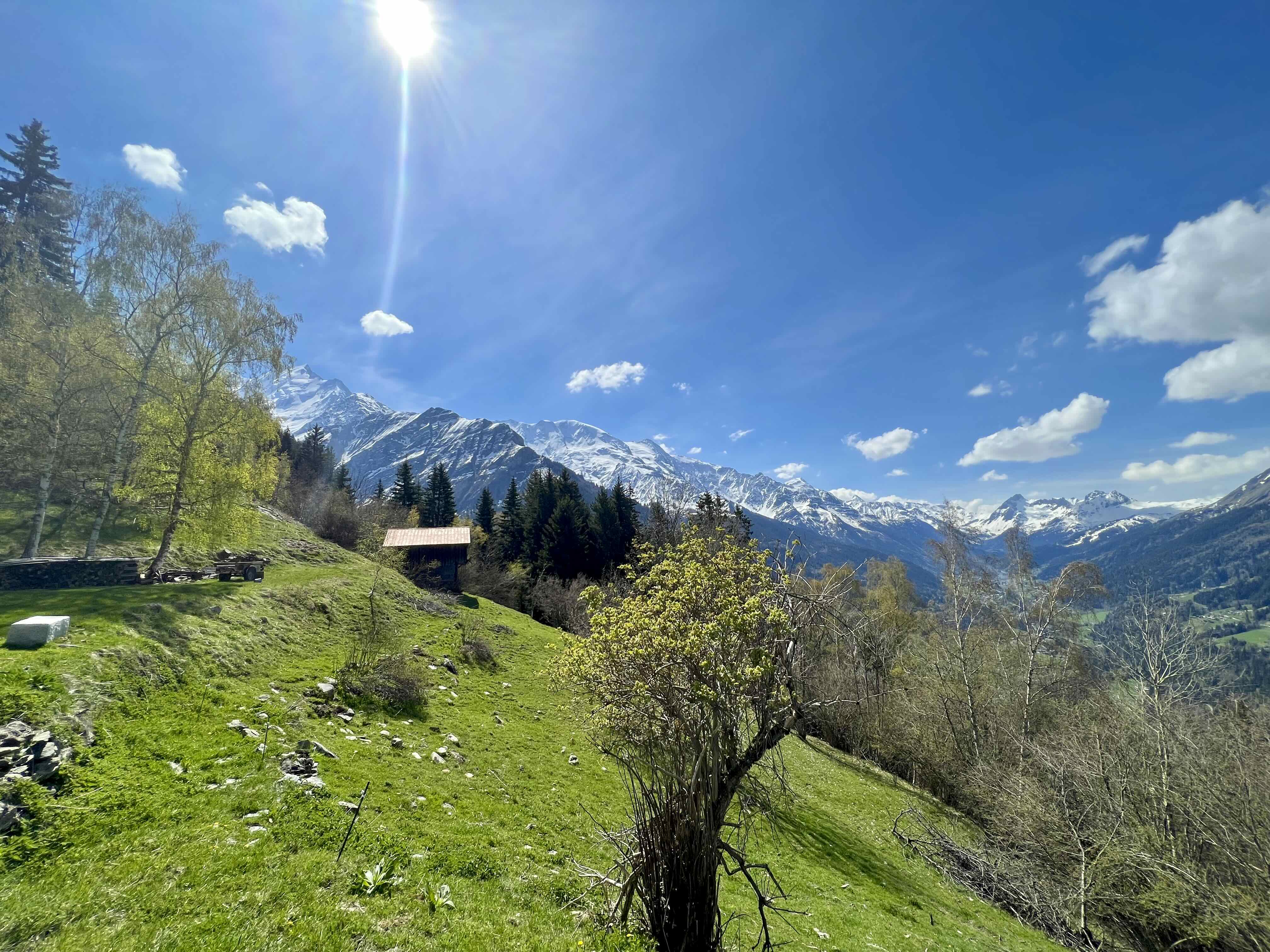 MONTIVON ET MONT FORCHET