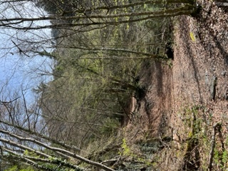 CASCADE DE RENINGE