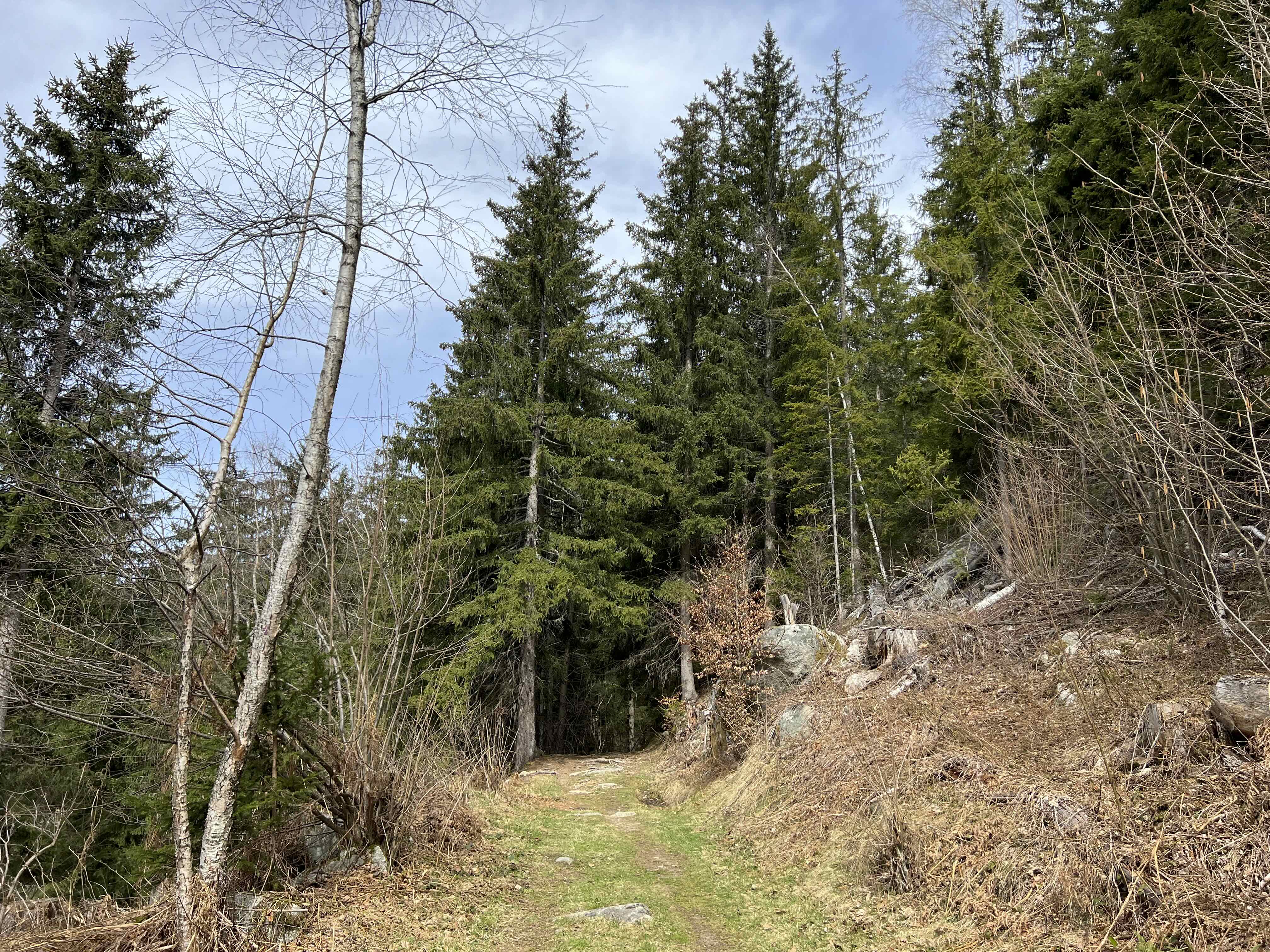 DE SERVOZ AUX HOUCHES