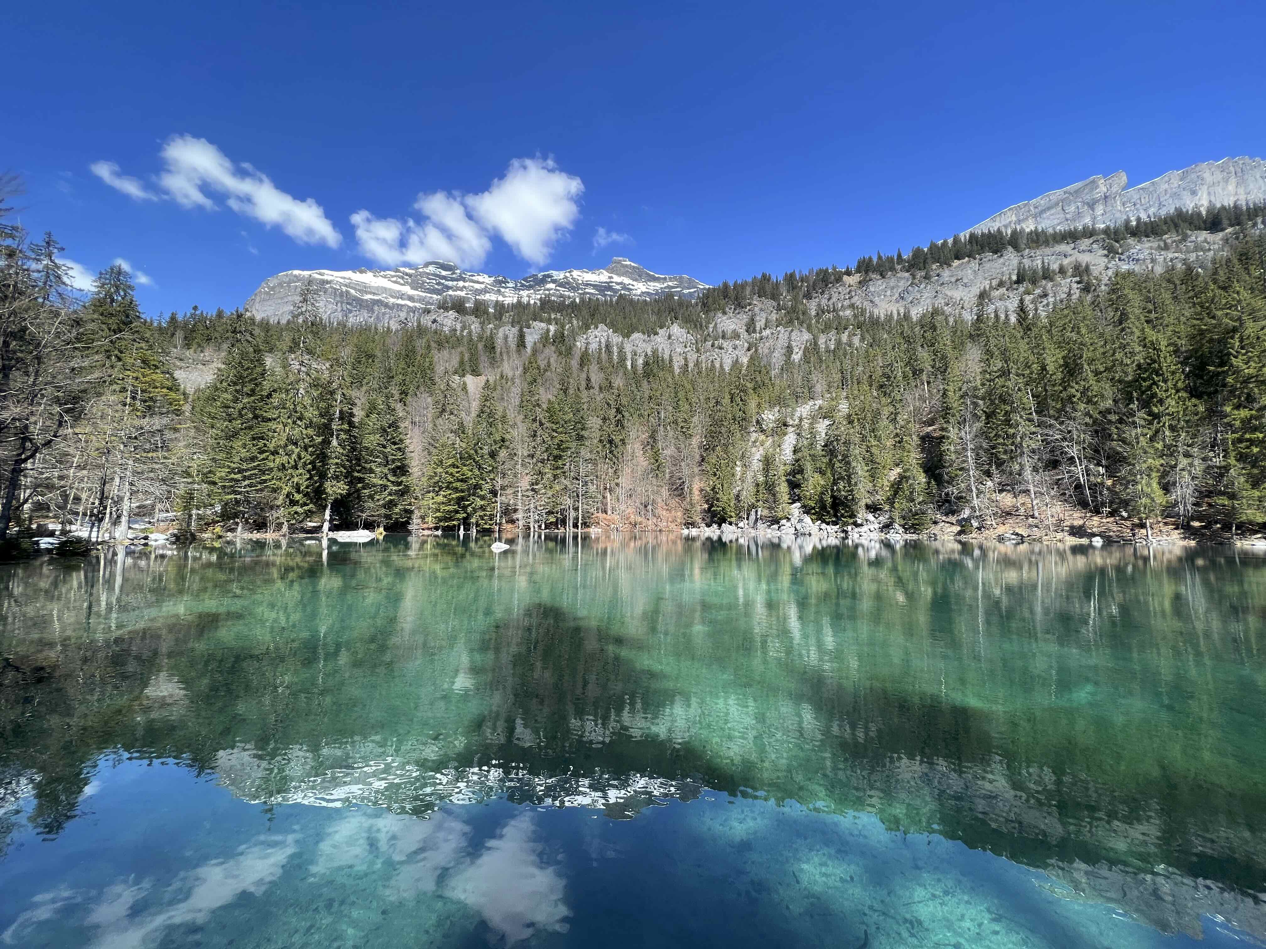 LAC VERT ET PLAINE JOUX DEPUIS LA CÔTE — photo 2
