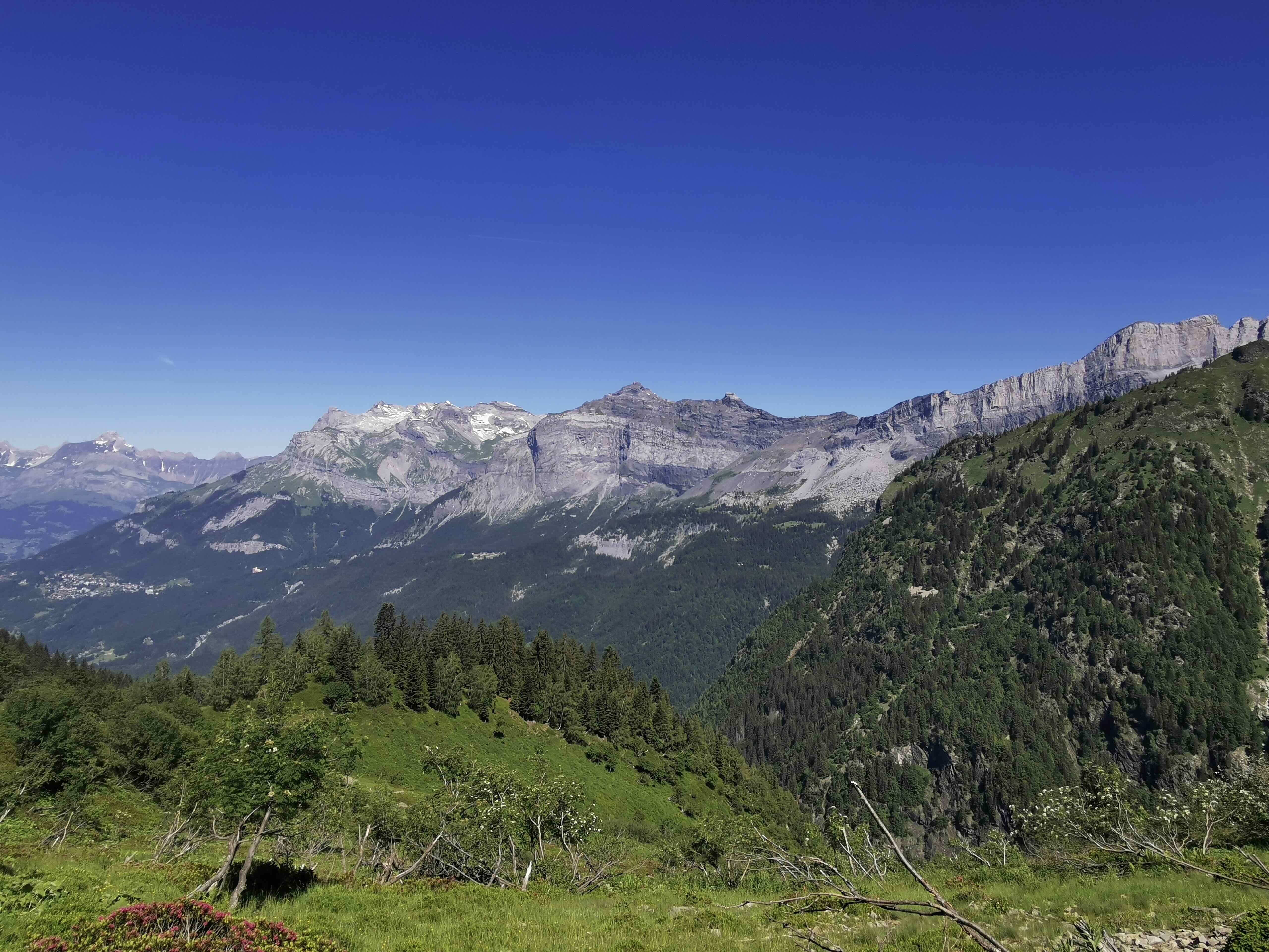 PIERRE BLANCHE DEPUIS MONTVAUTHIER — photo 2
