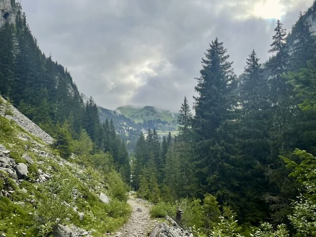 LAC DE FLAINE DEPUIS LES CARROZ