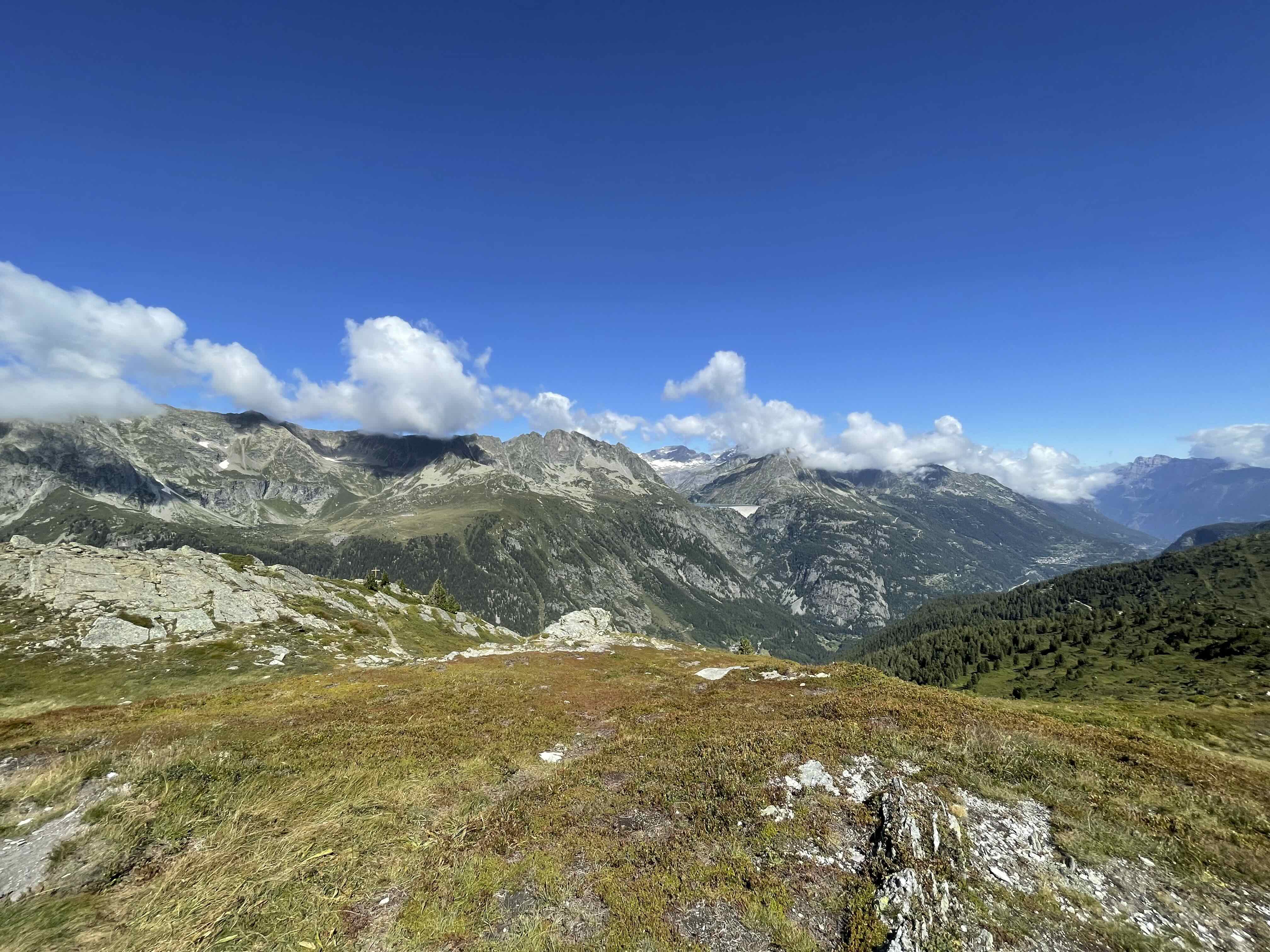 AIGUILLETTES DE POSETTES
