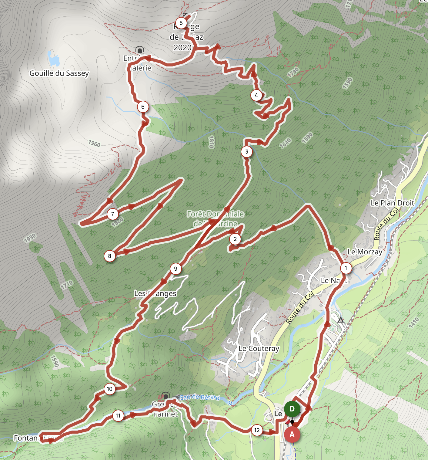 LA LORIAZ DEPUIS LE BUET — carte