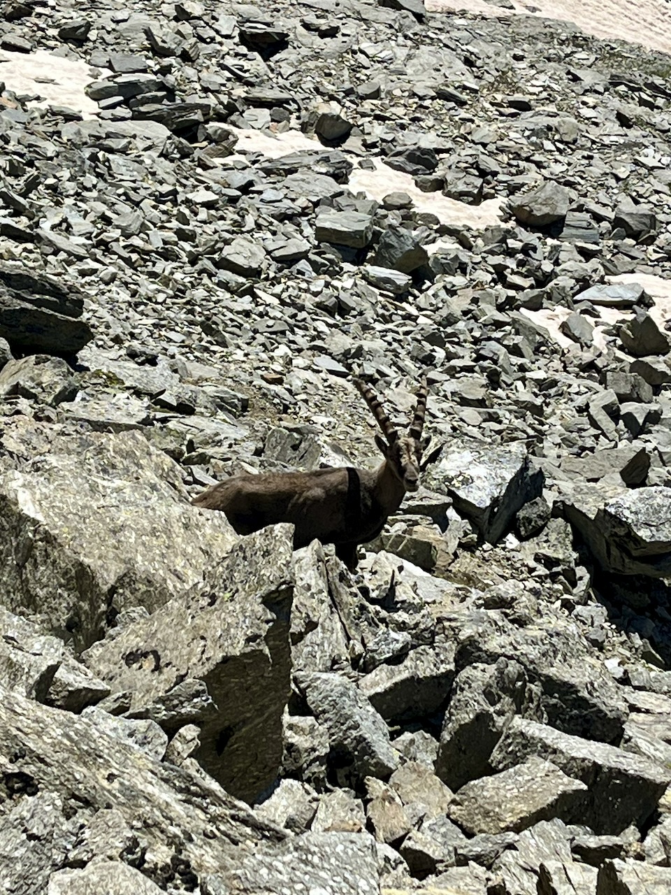 TOUR DU GRAND PARADIS — photo 5