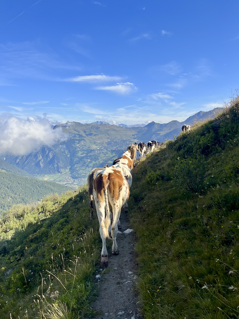 GRAND TOUR DES COMBINS — photo 1