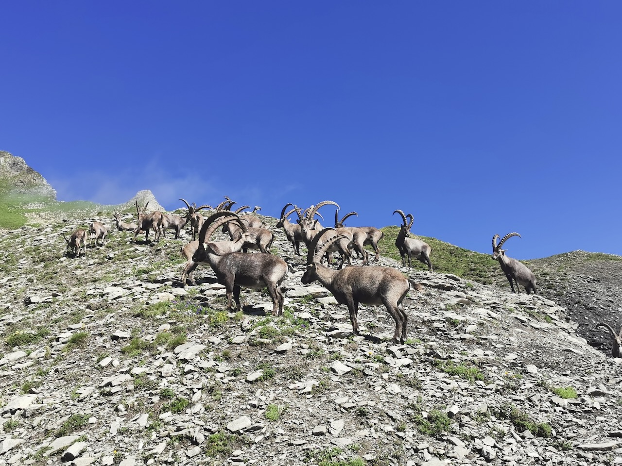 PETIT TOUR DES ARAVIS — photo 8