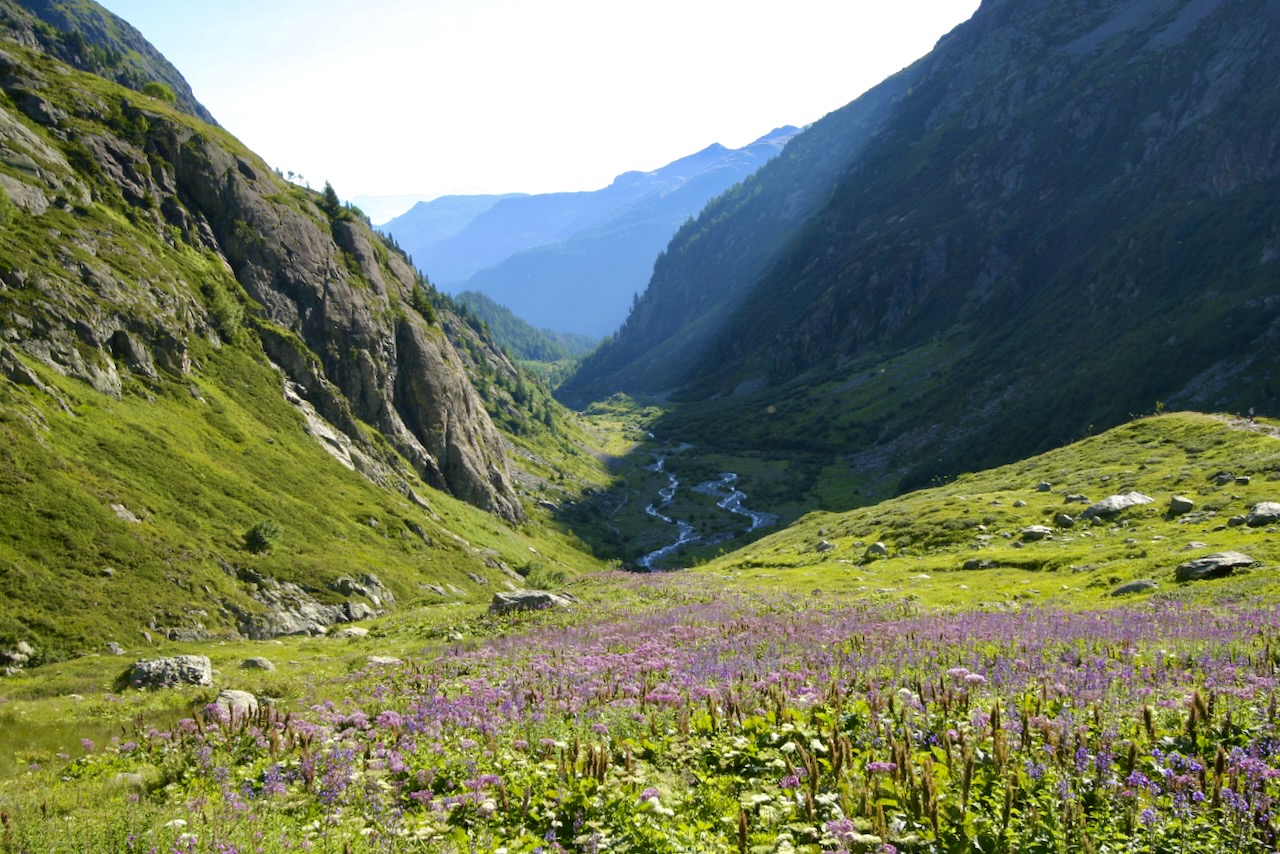 TOUR DES AIGUILLES ROUGES — photo 5