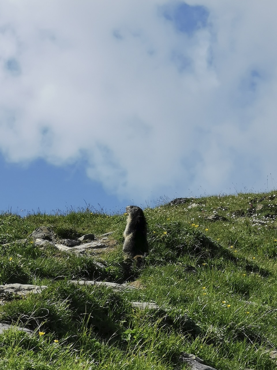 TOUR DES FIZ — photo 11