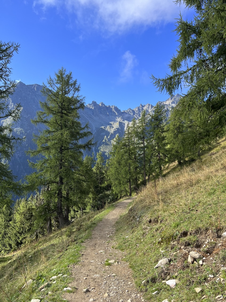 TOUR DU MONT BLANC — photo 17