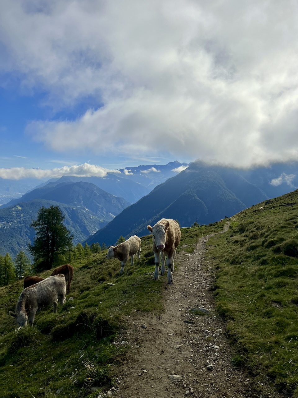 TOUR DU MONT BLANC — photo 20